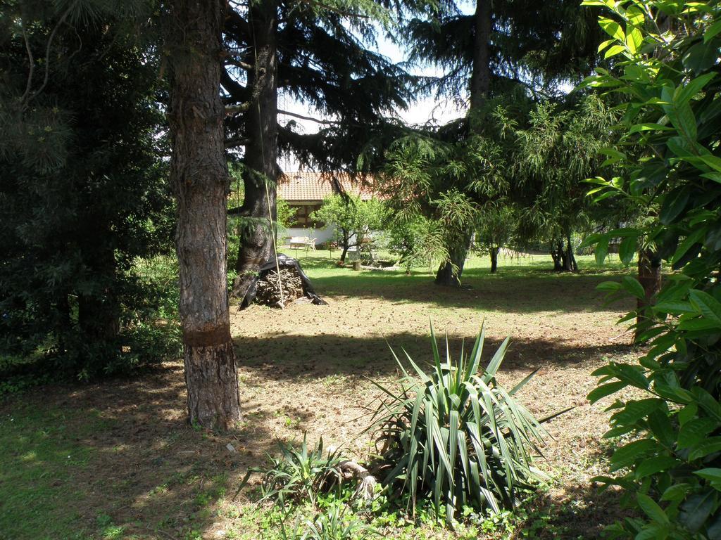 B&B Villa Mirella Casnate Con Bernate Exteriér fotografie