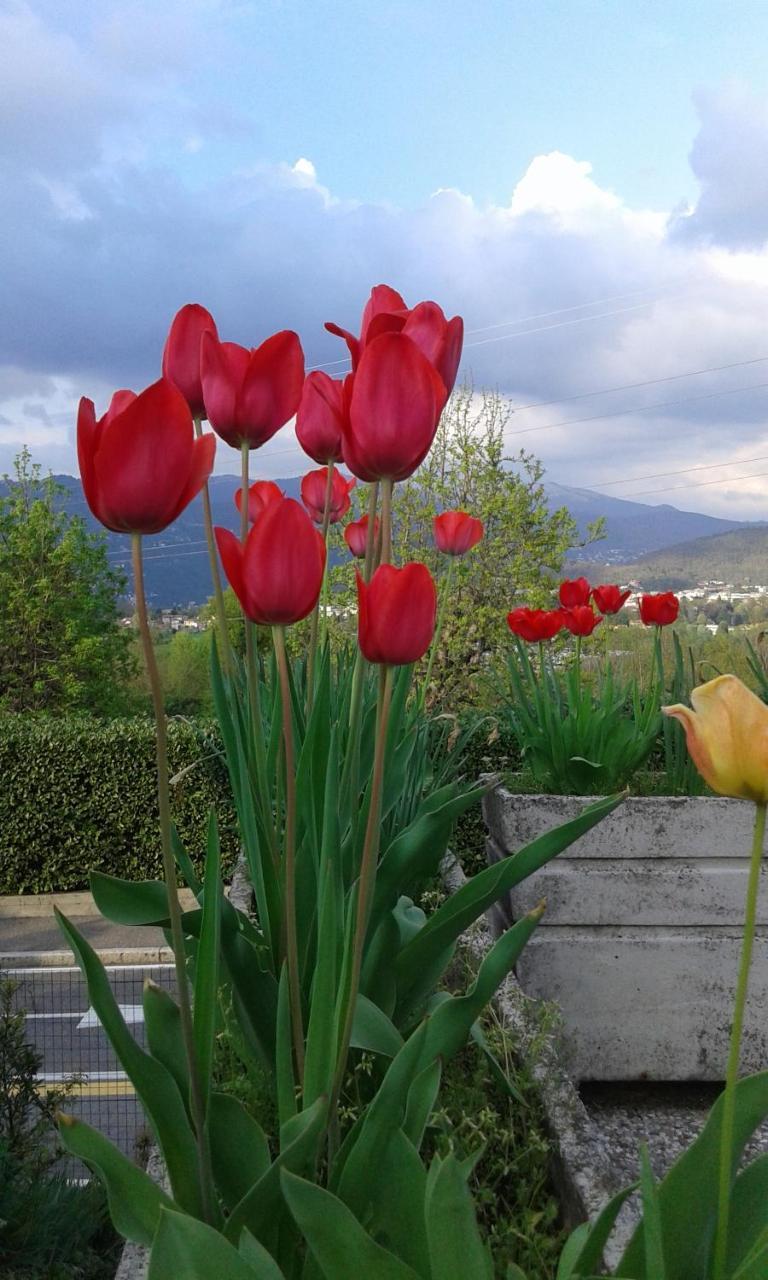 B&B Villa Mirella Casnate Con Bernate Exteriér fotografie